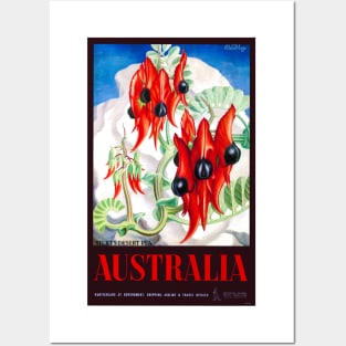 Vintage Travel Poster Australia Sturts Desert Pea Posters and Art